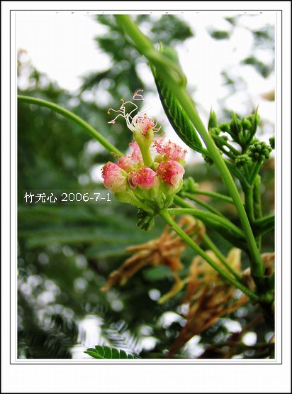 �ϻ�~���ڶ�ҳ...