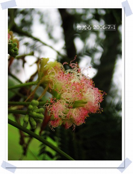 �ϻ�~���ڶ�ҳ...