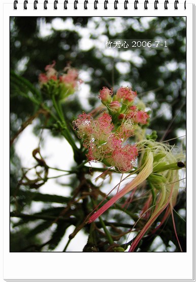 �ϻ�~���ڶ�ҳ...