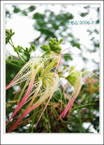 �ϻ�~���ڶ�ҳ...