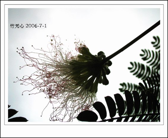 �ϻ�~���ڶ�ҳ...