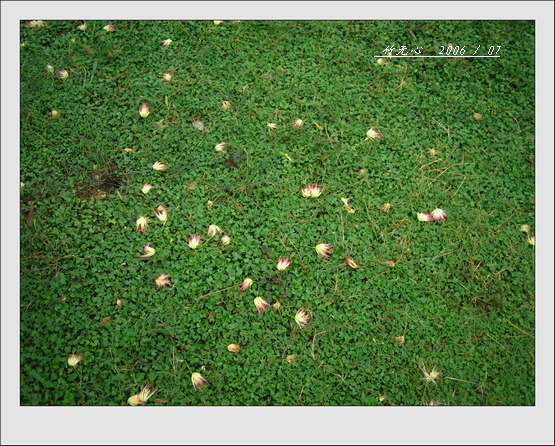 �ϻ�~���ڶ�ҳ...