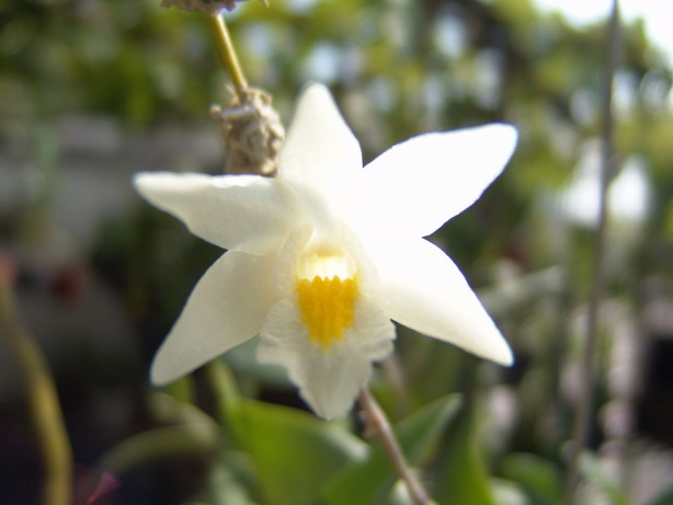 06������������й�ʯ��P6