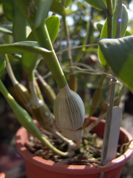 06������������й�ʯ��P6