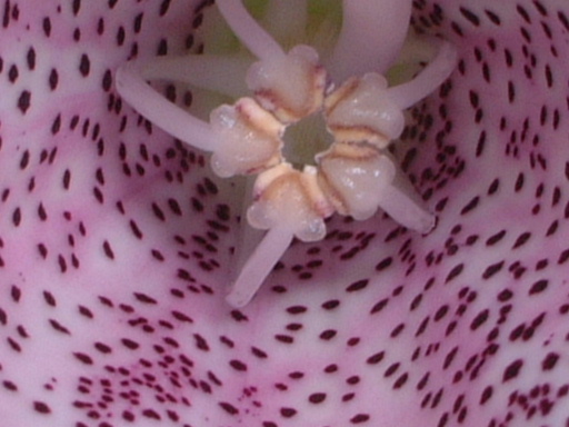 �²²�...�ف���..