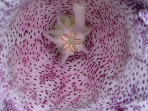 �²²�...�ف���..