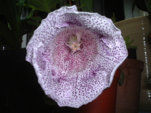 �²²�...�ف���..