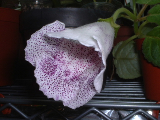 �²²�...�ف���..