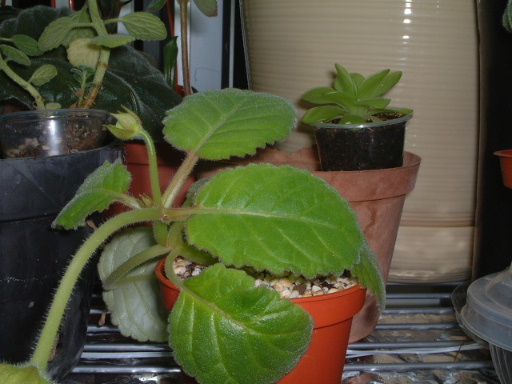 �²²�...�ف���..