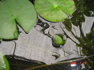 ���ĵĻ�(3ҳ����)