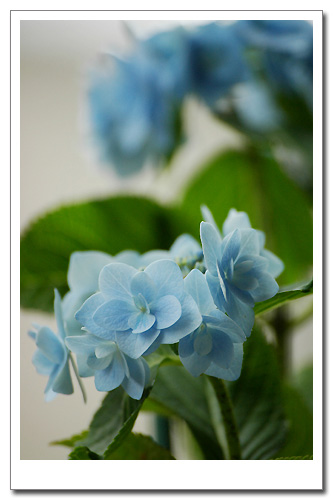 ���������������ָ��е���ɫ����p3��