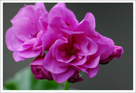 �����ķ���,���ÿ�(�ذ����ÿ��У�������)