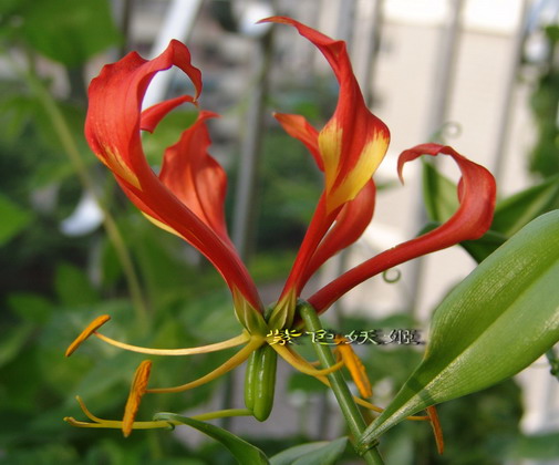 ����������ٺϣ�~~