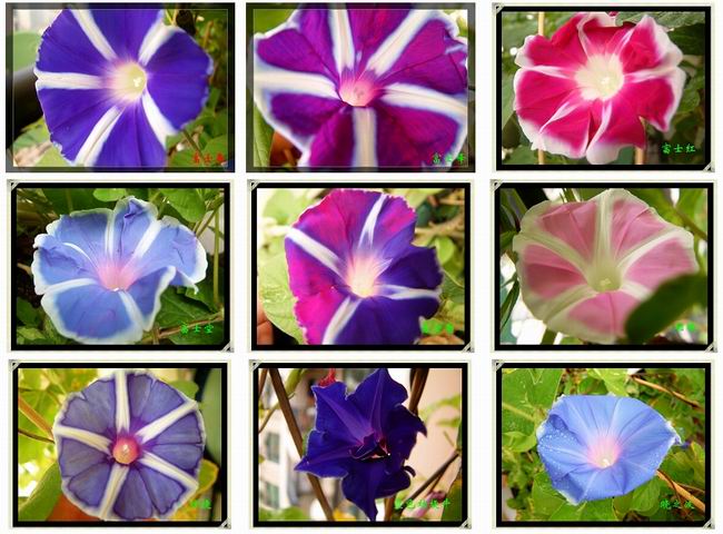 �������شأ�����������