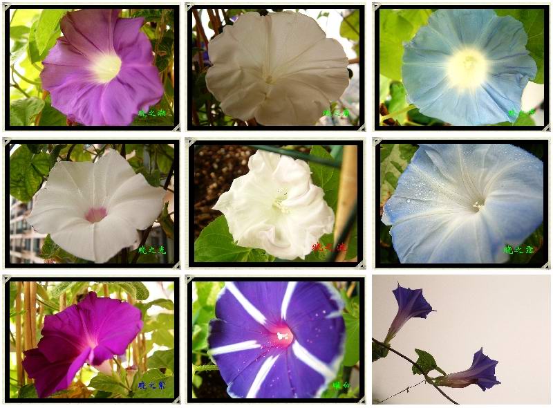 �������شأ�����������