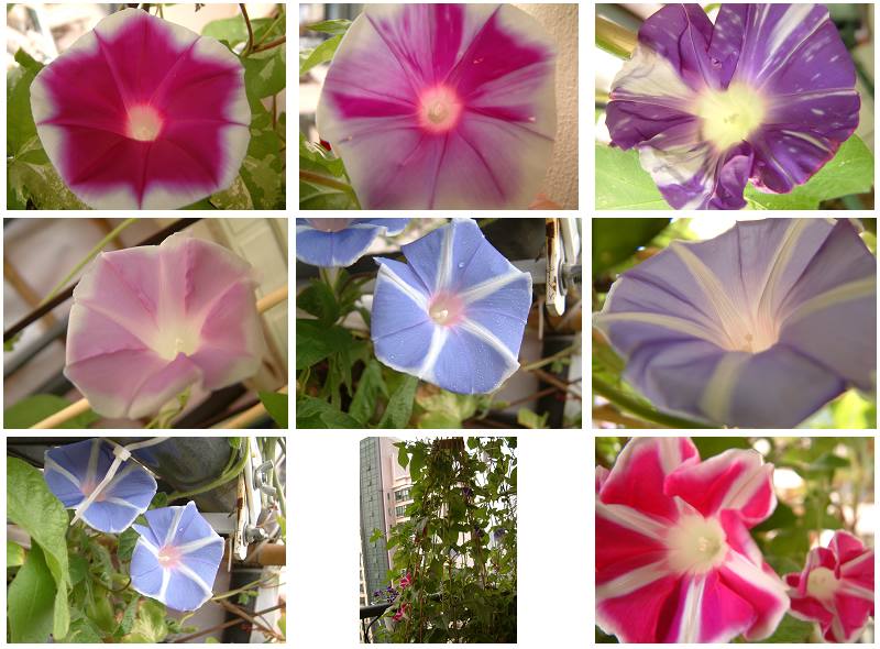 �������شأ����������㣨����ҳ�����ջ�����