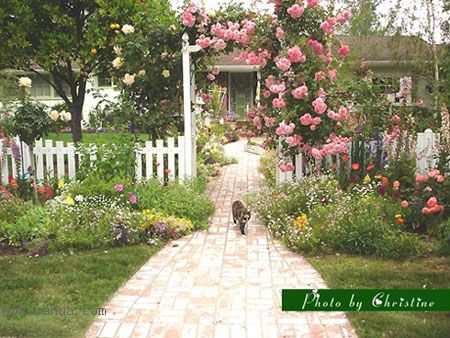 ��������ϲ����¶̨