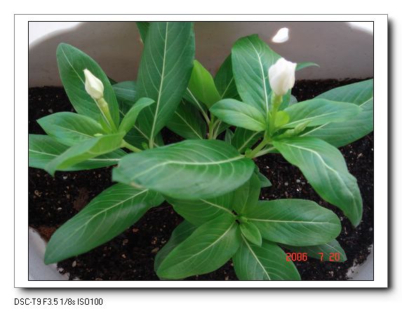 �ҵ����մ�