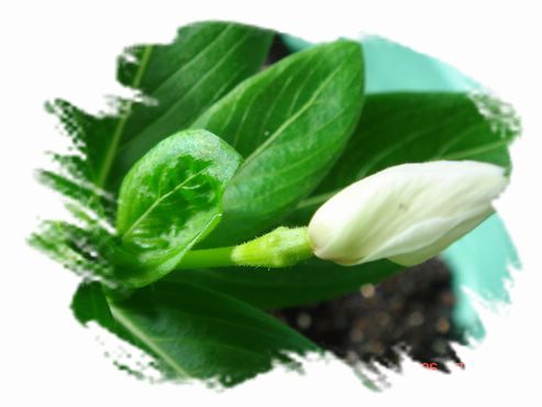 �ҵ����մ�