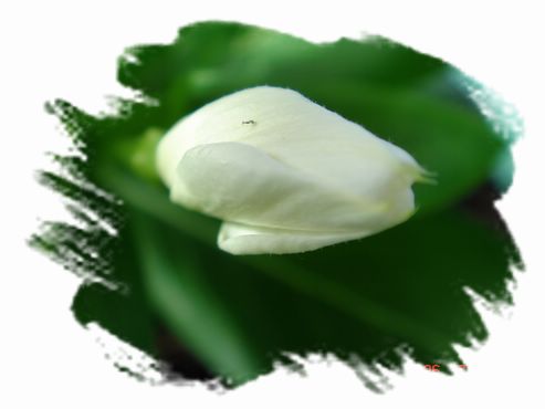 �ҵ����մ�