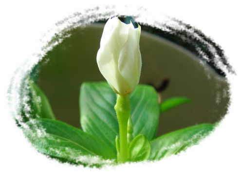 �ҵ����մ�