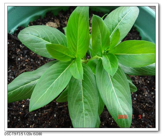 �ҵ����մ�