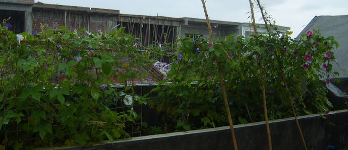 7�·�ţ���ʹ�����PP��