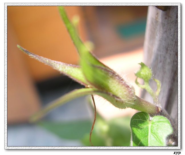 ǣţ�����Ѿ���������,һ����û��,�ǲ��Ǹ÷�����:(