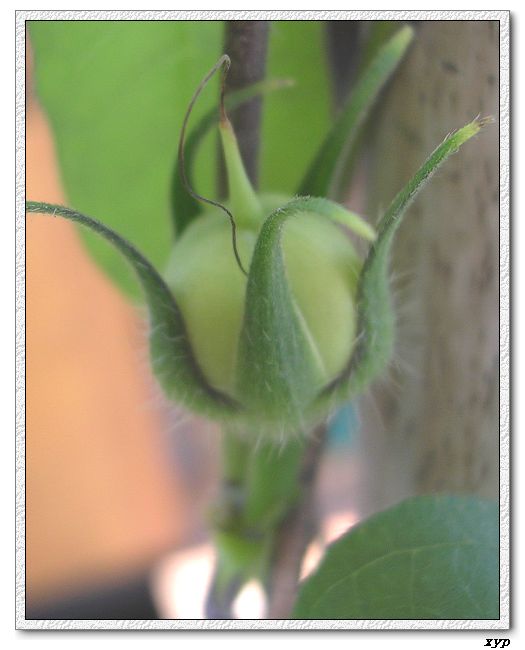 ǣţ�����Ѿ���������,һ����û��,�ǲ��Ǹ÷�����:(