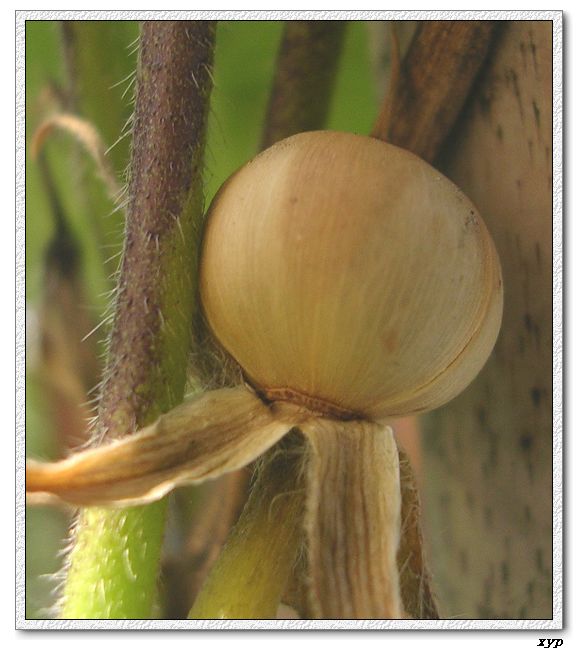 ǣţ�����Ѿ���������,һ����û��,�ǲ��Ǹ÷�����:(