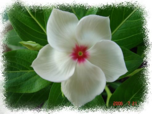 �ҵ����մ�