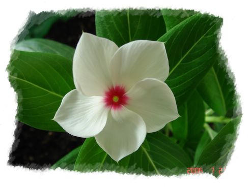 �ҵ����մ�