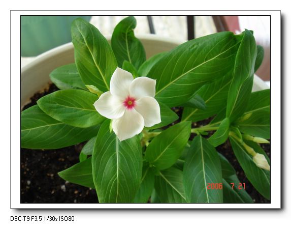 �ҵ����մ�