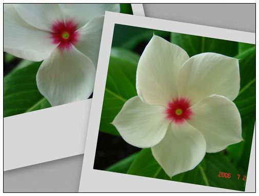 �ҵ����մ�