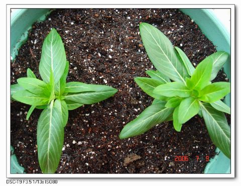 �ҵ����մ�