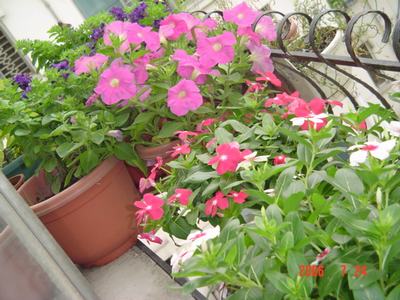 ���ĵĻ�(7ҳ����)