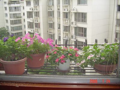 ���ĵĻ�(7ҳ����)