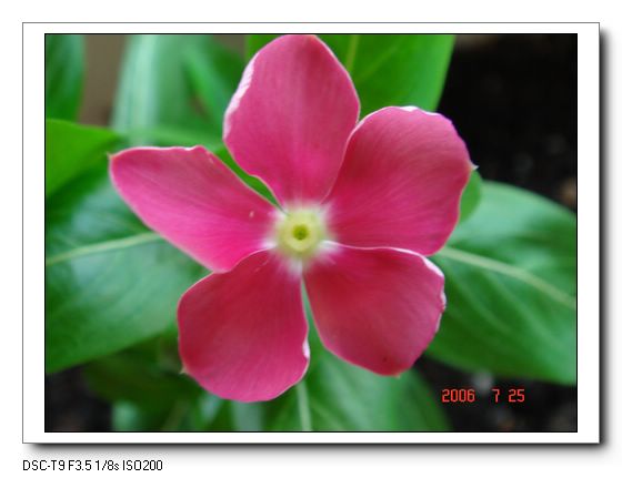 �ҵ����մ�(������)