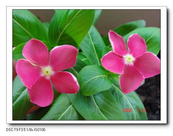 �ҵ����մ�(������)