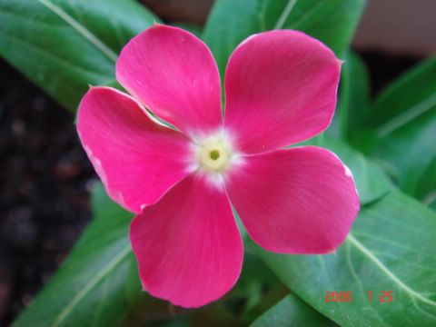 �ҵ����մ�(������)