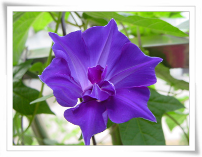 ǣţ�����Ѿ���������,һ����û��,�ǲ��Ǹ÷�����:(