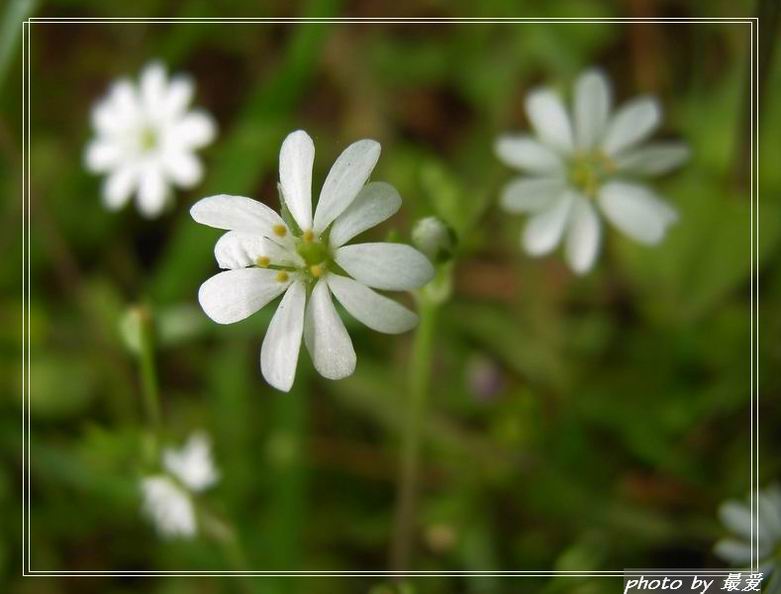 ��Ӱ��Ʒ�����������ң�