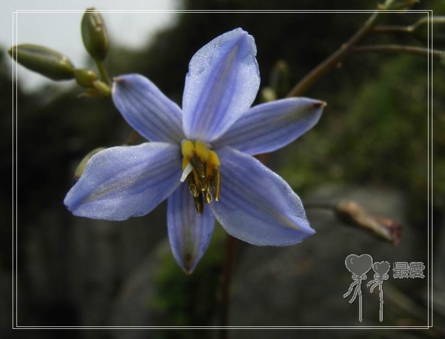 ��Ӱ��Ʒ�����������ң�