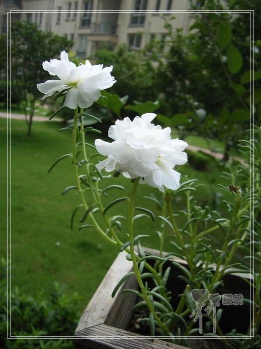 ɶ��û�У�ֻɹ����̫������