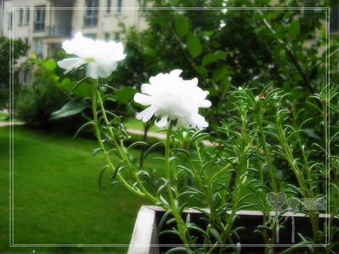 ɶ��û�У�ֻɹ����̫������