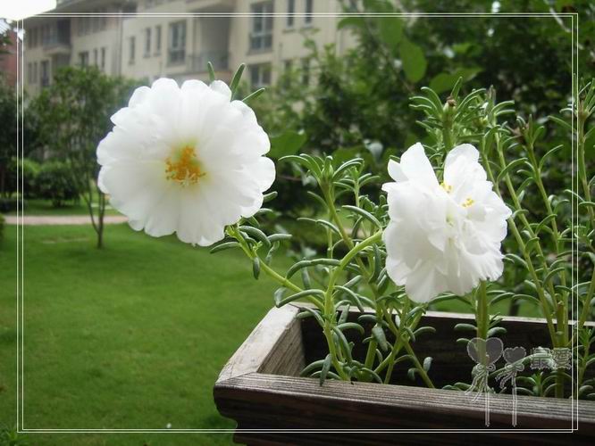 ɶ��û�У�ֻɹ����̫������