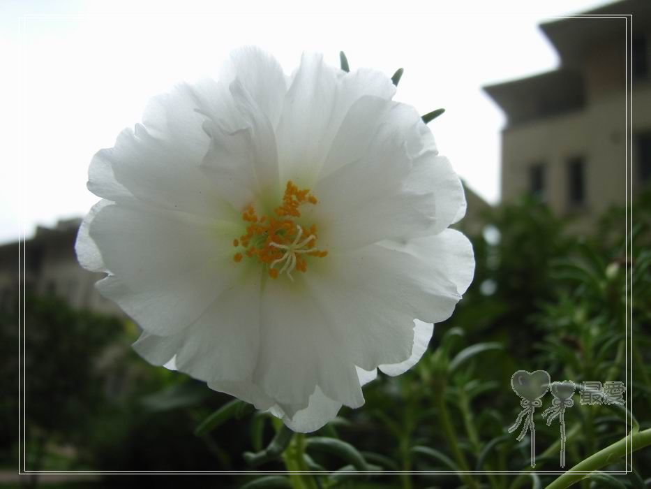 ɶ��û�У�ֻɹ����̫������