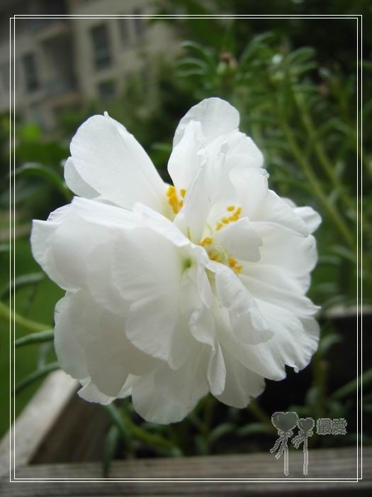 ɶ��û�У�ֻɹ����̫������