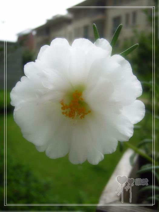 ɶ��û�У�ֻɹ����̫������