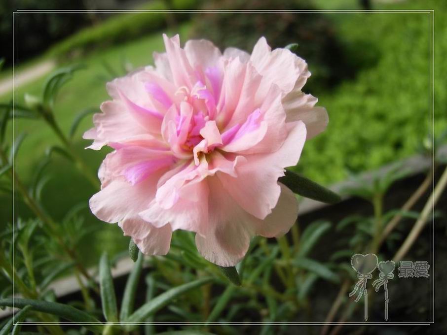 ɶ��û�У�ֻɹ����̫������